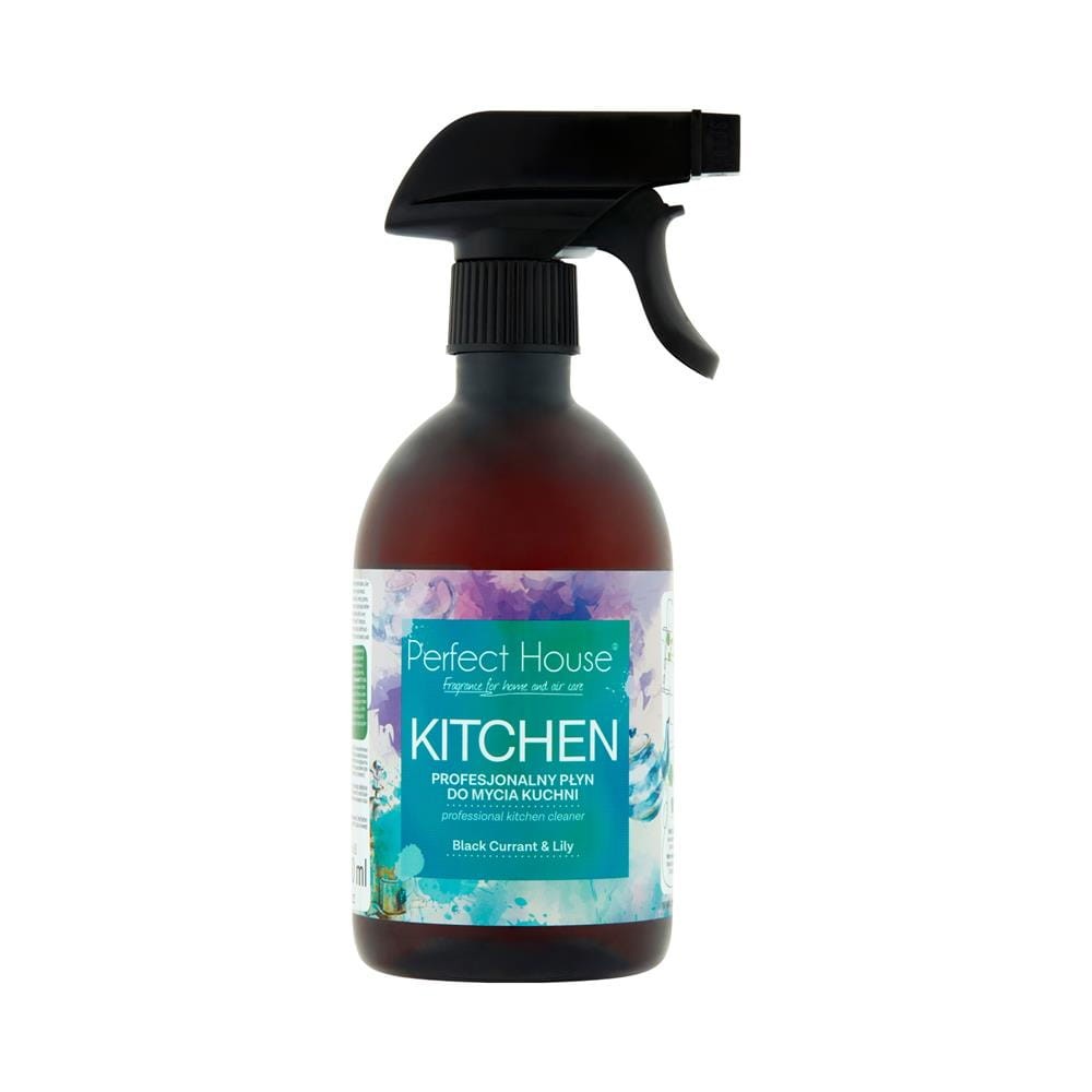 188778 BARWA PROFESJONALNY SPRAY DO CZYSZCZENIA 500ML KUCHNIA 5902305000905