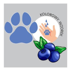 278370 HISKIN PIANKA DO MYCIA RĄK 300ML JAGODA 5907775546106