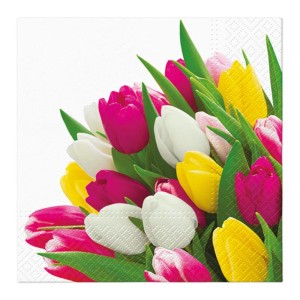 PAW SERWETKI 33X33 20 SZT. SDL121500