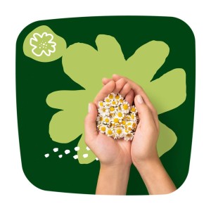 961a0b285f5a208895dd2888085e5ad9