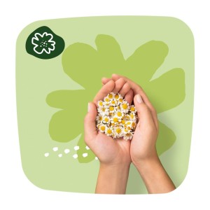 923ee54ab6ac4c29ef4df168b1d09573