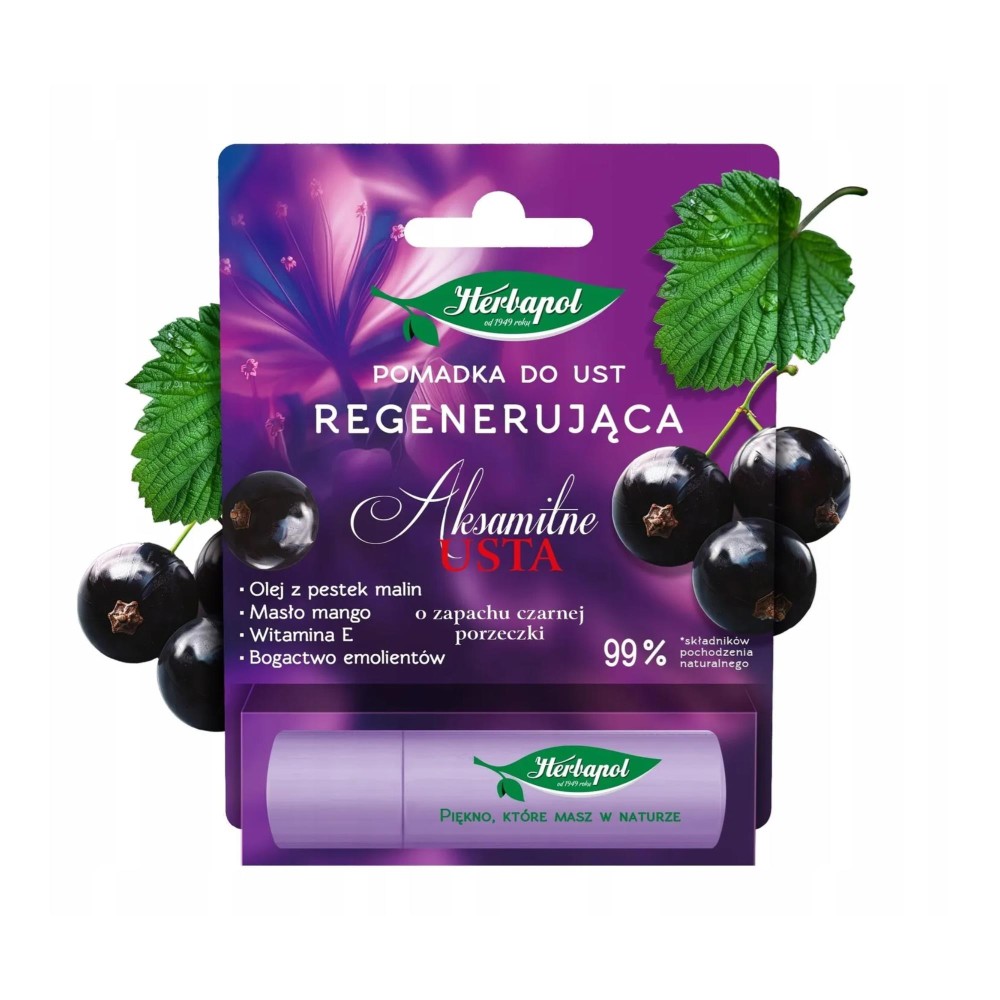 407798 HERBAPOL POMADKA OCHRONNA 4.9G CZARNA PORZECZKA,MANGO 5900956901541
