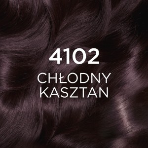 243802 LOREAL CASTING CREME GLOSS FARBA KOLORYZUJĄCA  410 CHŁODNY KASZTAN 3600523807000