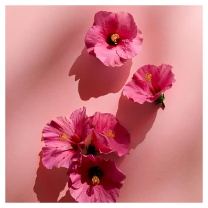 9da1329d1fde06074bf7373fb4dc0df5