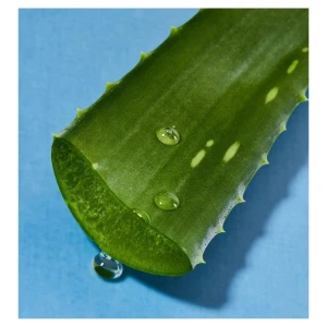 665aded1c5f7a782cddd869f1f26e663