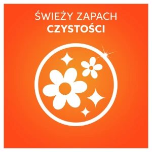 Vizir kapsułki do prania all in 1 24 szt. karton alpejska świeżość 8700216746113 - zdjęcie 4