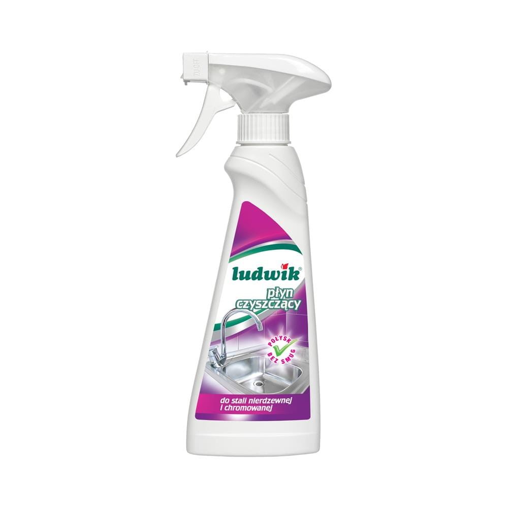 180667 LUDWIK SPRAY DO CZYSZCZENIA 250ML STAL NIERDZEWNA 5900498013085